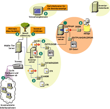 Inventarabsuchezyklus im Roll-up-Szenario, bestehend aus Arbeitsstationen ohne Novell Client.
