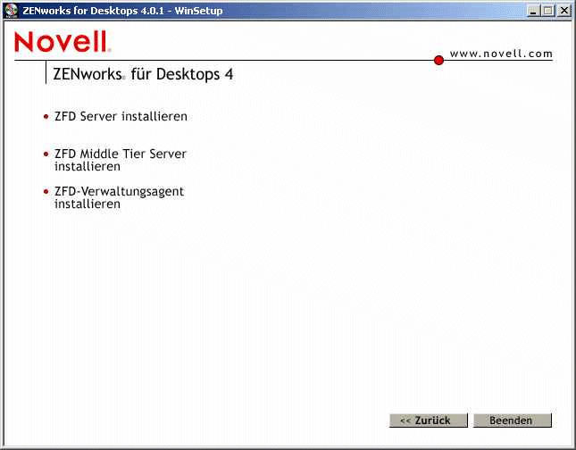 Seite mit den Installationsoptionen für ZfD