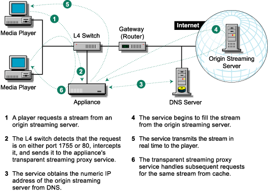 extension proxygo - hide my ip