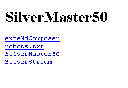 SilverstreamMaster