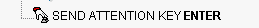 3270AttentionKeyEnter