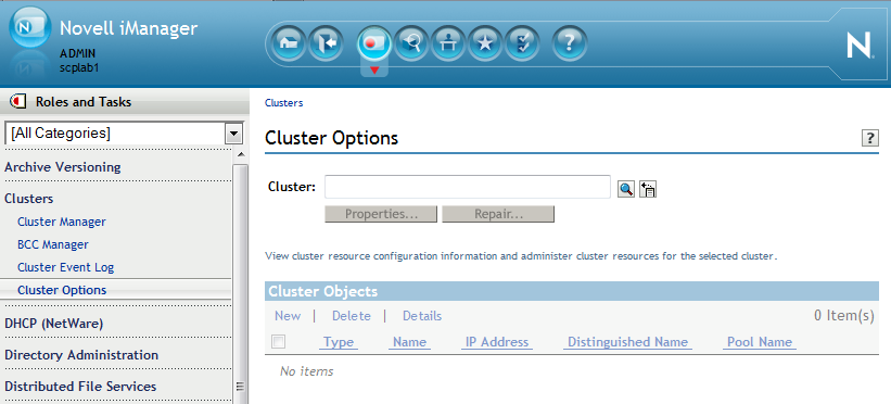 Cluster Options page