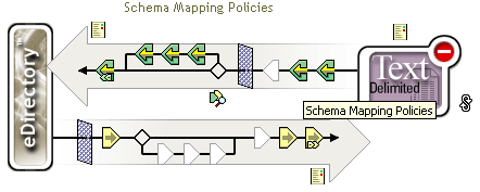 Schema Mapping Policy