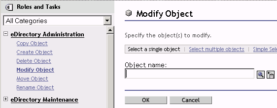 The Modify Object option