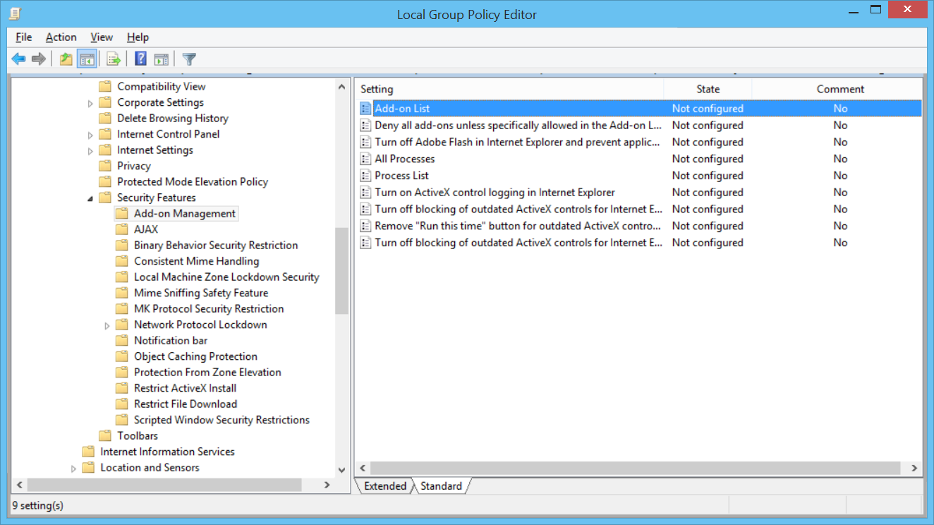 Redirector IE local group policy settings