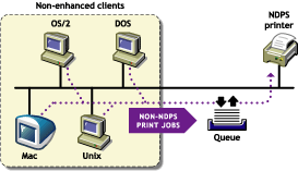 Non-enhanced client printer configuration