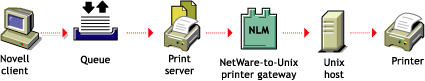 NetWare-to-UNIX printing