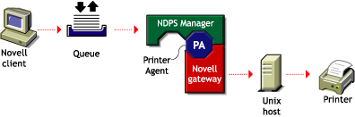 NetWare-to-UNIX printing using NDPS Manager