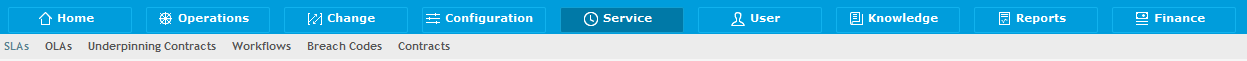manager_service_tab.png
