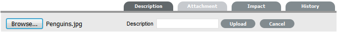 release_attachements.png
