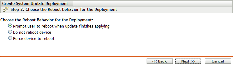 Choose the Reboot Behavior for the Deployment wizard page