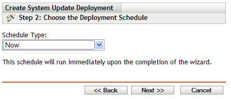 Step 2: Choose the Deployment Schedule page