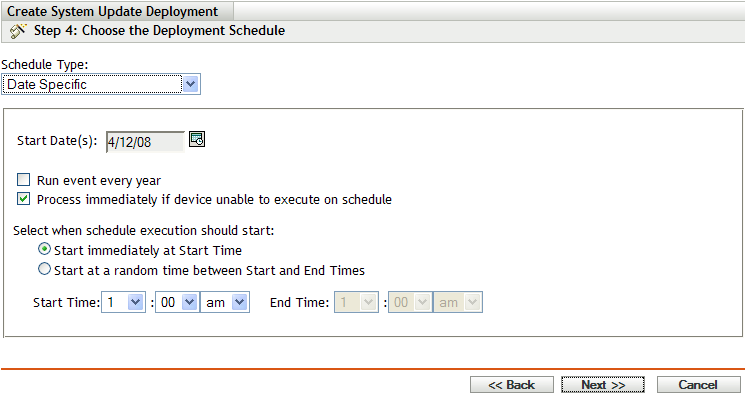 Step 4: Choose the Deployment Schedule page