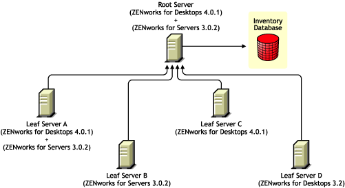 Leaf Servers having different versions of ZENworks for Desktops 3.2, ZENworks for Desktops 4.x, or ZENworks for Servers 3.0.2 rolling up the inventory information to the Root Server having ZENworks for Desktops 4.0.1 and ZENworks for Servers 3.0.2.