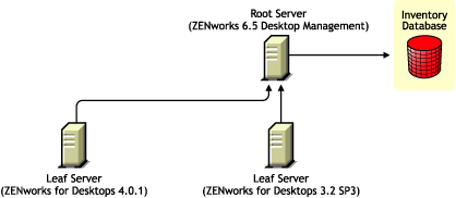 ZENworks for Desktops 4.0.1 Leaf Server and ZENworks for Desktops 3.2 SP3 Leaf Server rolling up the Inventory information to the ZENworks 6.5 Desktop Management Root Server after the upgrade.