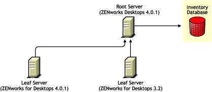 ZENworks for Desktops 4.0.1 Leaf Server and ZENworks for Desktops 3.2 Leaf Server rolling up the Inventory information to the ZENworks for Desktops 4.0.1 Root Server.
