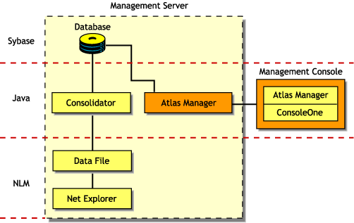 The Discovery components: database (Sybase), Consolidator and Management Console (Java components), Data file and Net Explorer (NLM components)
