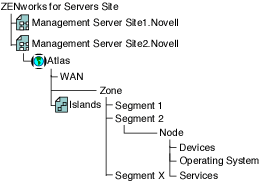 A default Novell ZENworks Server Management site