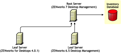 ZENworks for Desktops 4.0.1 Leaf Server and ZENworks 6.5 Desktop Management Leaf Server rolling up the Inventory information to the ZENworks 7 Desktop Management Root Server after the upgrade.