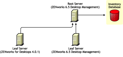 ZENworks for Desktops 4.0.1 Leaf Server and ZENworks 6.5 Desktop Management Leaf Server rolling up the Inventory information to the ZENworks 6.5 Desktop Management Root Server.