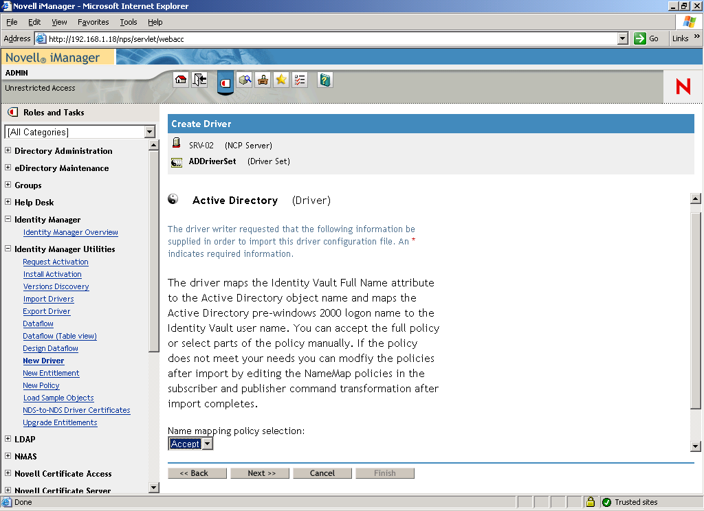 The Create Driver Wizard opened on the main page of Novell iManager. The Active Directory Driver Set page is opened.