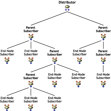 Distribution Route Hierarchy showing parent Subscribers and end-node Subscribers