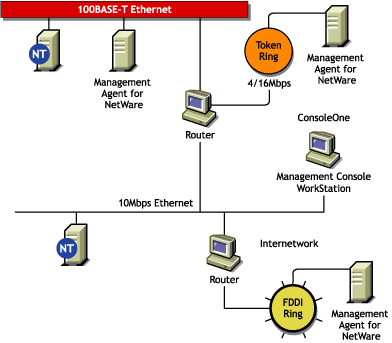 The NetWare/Windows NT Agent configured on the server in an Ethernet/FDDI network/token ring