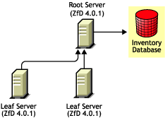 ZfD 4.0.1 Leaf Servers roll up to ZfD 4.0.1 Root Server.