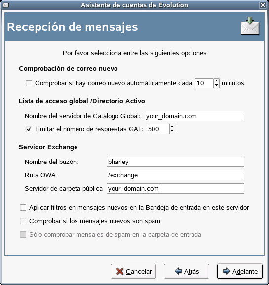 Opciones de recepcin de Microsoft Exchange