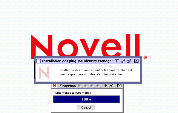 Processus d'installation sur un serveur NetWare