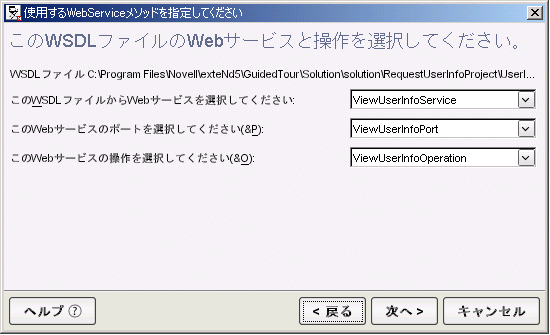 DirectorCreateWebServicePageflow dialog2