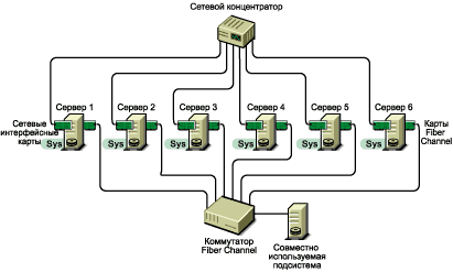 ������ ��������� Novell