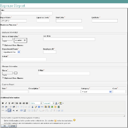 Expense Report Form