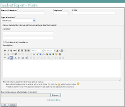Incident Report - Waste Form