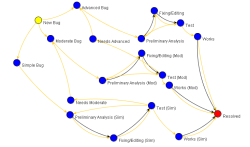 Bug/Issue Management and Tracking Flow