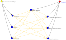 Incident Report - Animal Workflow