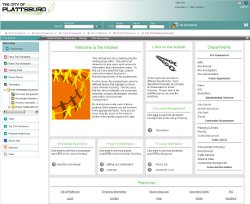Government Intranet Workspace Screenshot
