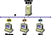 Novell �����ļ�����Э��